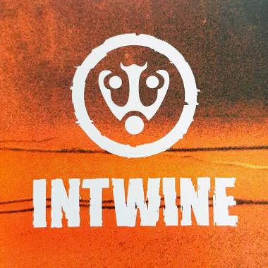 Intwine -  Intwine